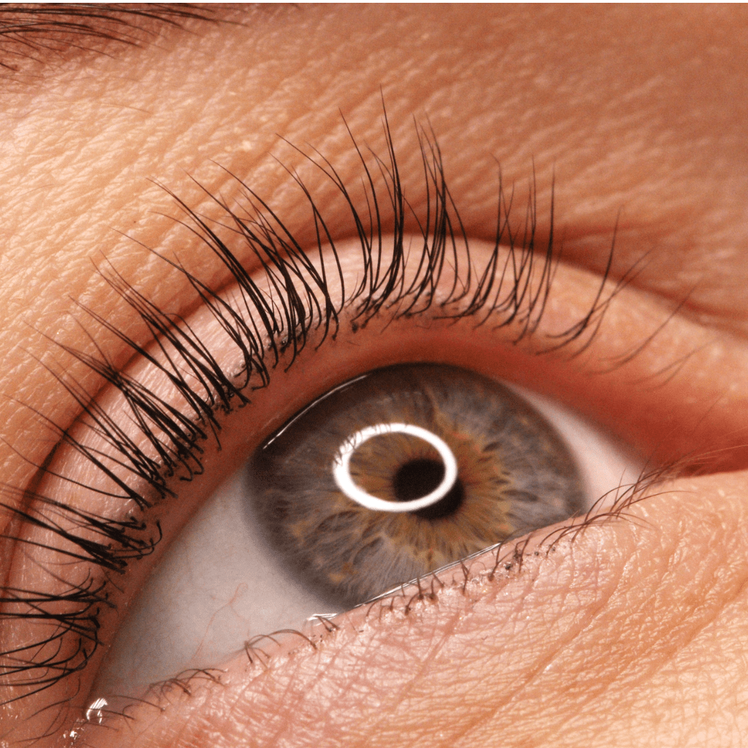 Lifted and tinted lashes for a natural, mascara-free look, part of our eyes and brows treatments in Kent at River Cottage Beauty Salon in Hamstreet.